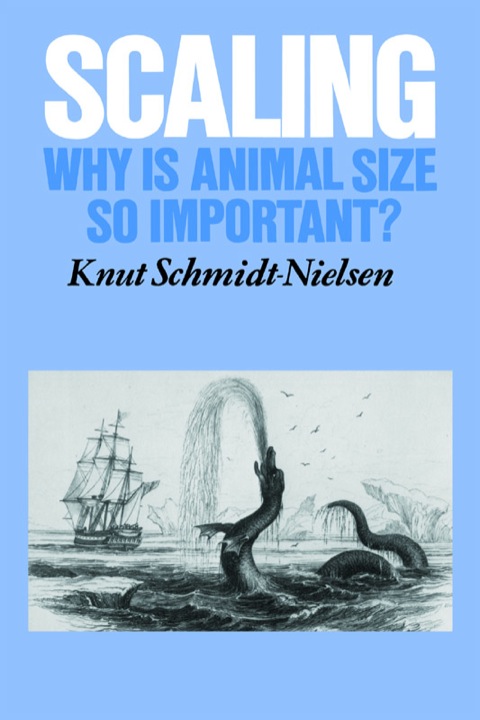 Cover image for book Scaling