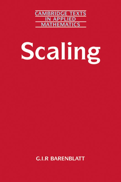 Cover image for book Scaling