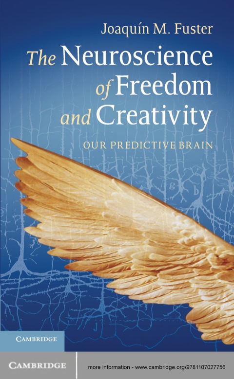 Cover image for book The Neuroscience of Freedom and Creativity