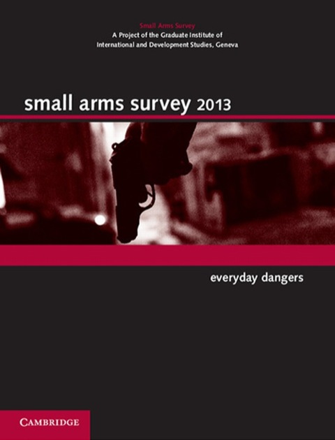 Cover image for book Small Arms Survey 2013