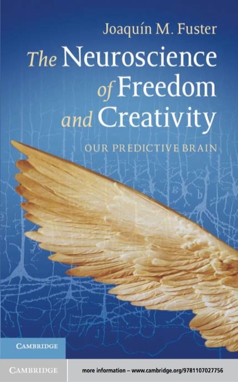 Cover image for book The Neuroscience of Freedom and Creativity