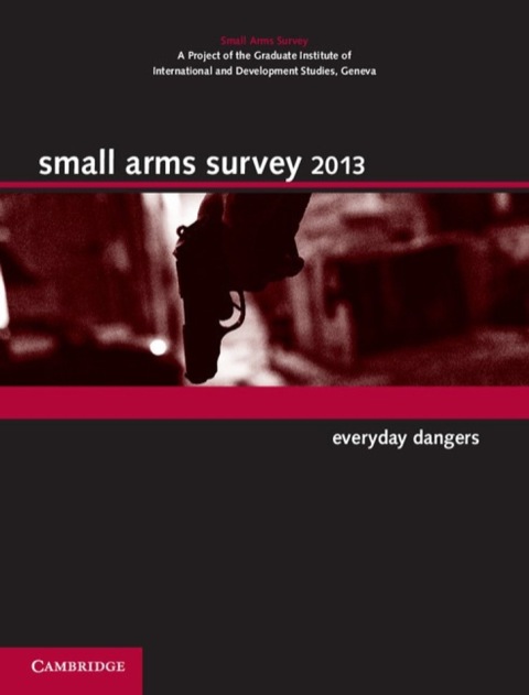 Cover image for book Small Arms Survey 2013