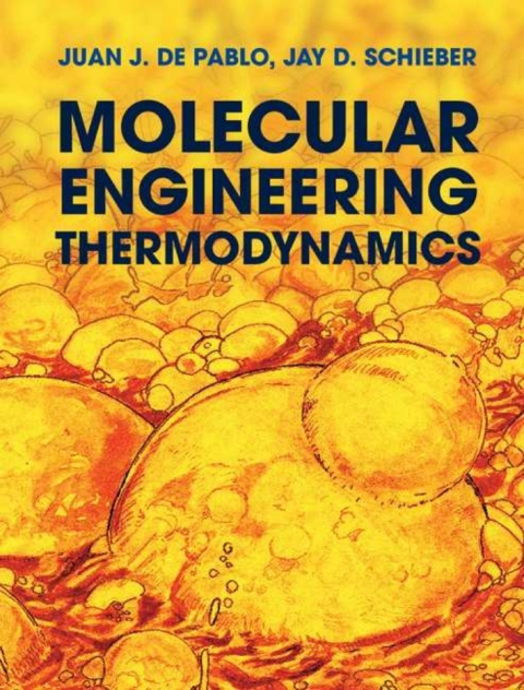 Cover image for book Molecular Engineering Thermodynamics