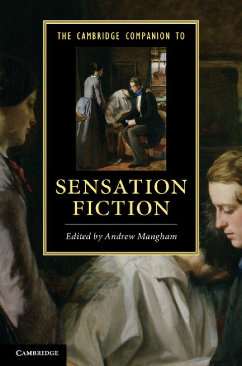 Cover image for book The Cambridge Companion to Sensation Fiction