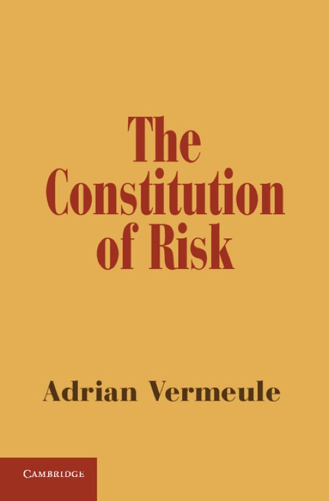 Cover image for book The Constitution of Risk