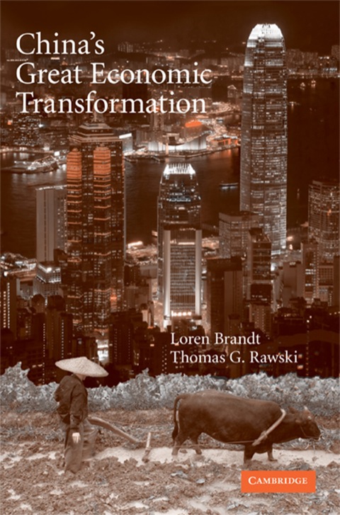 Cover image for book China's Great Economic Transformation