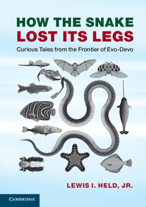 Cover image for book How the Snake Lost its Legs