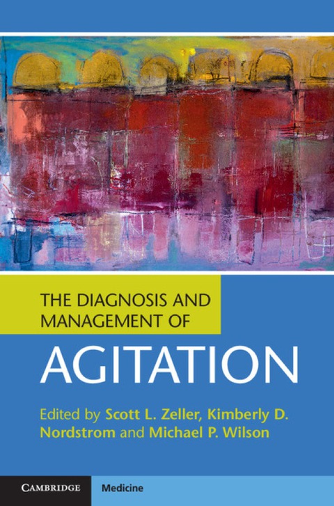 Cover image for book The Diagnosis and Management of Agitation
