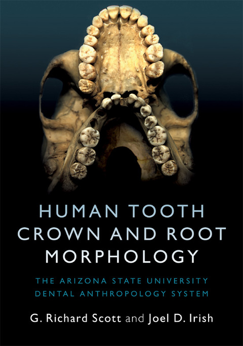 Human Tooth Crown and Root Morphology 