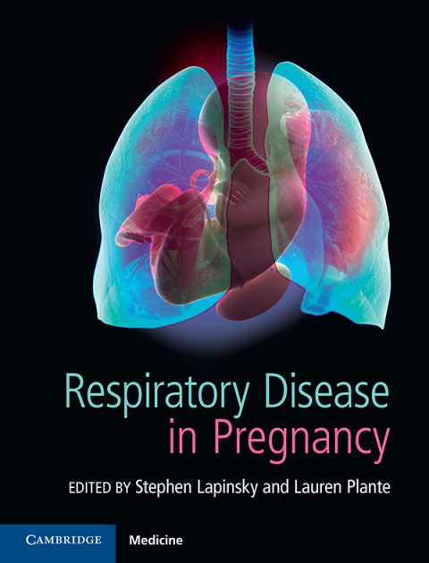 Cover image for book Respiratory Disease in Pregnancy