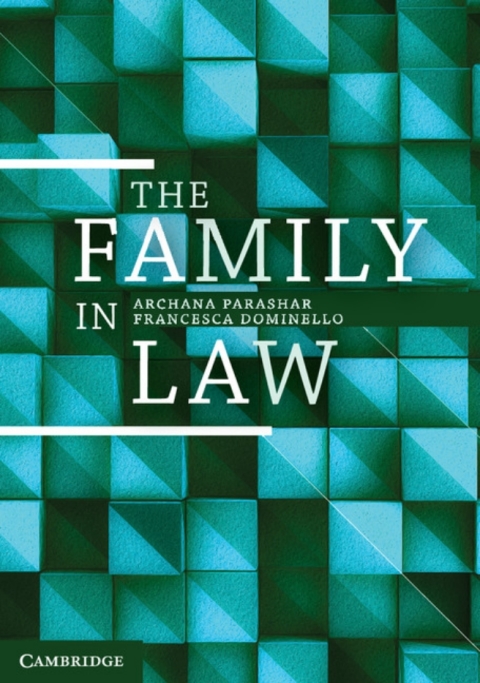 Cover image for book The Family in Law