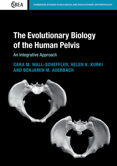 Cover image for book The Evolutionary Biology of the Human Pelvis