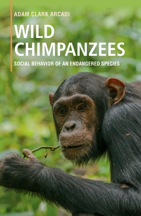 Wild Chimpanzees 