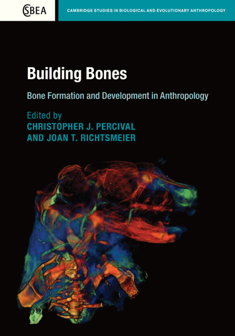 Cover image for book Building Bones: Bone Formation and Development in Anthropology
