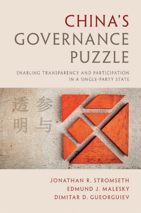 China's Governance Puzzle 