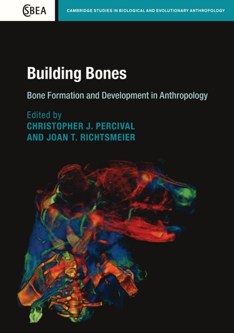 Cover image for book Building Bones: Bone Formation and Development in Anthropology