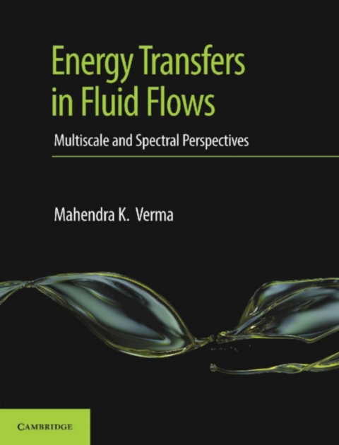 Cover image for book Energy Transfers in Fluid Flows