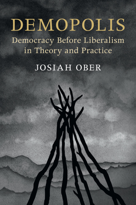 Cover image for book Demopolis
