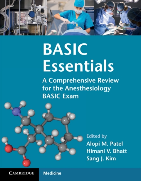 Cover image for book BASIC Essentials