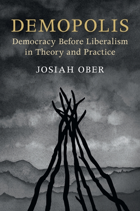 Cover image for book Demopolis