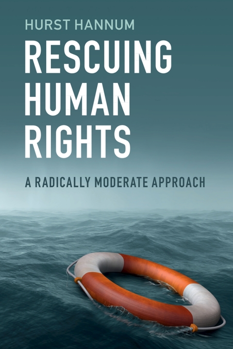 Cover image for book Rescuing Human Rights