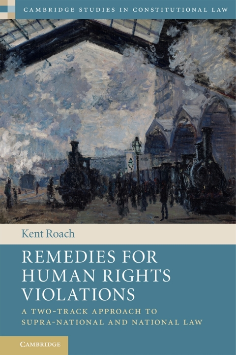Cover image for book Remedies for Human Rights Violations