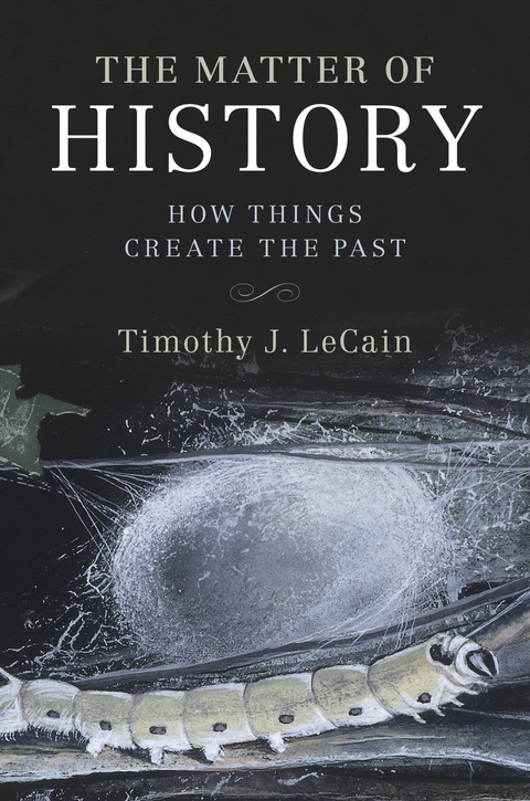 Cover image for book The Matter of History