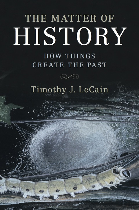 Cover image for book The Matter of History