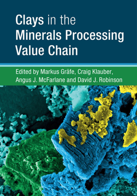 Cover image for book Clays in the Minerals Processing Value Chain