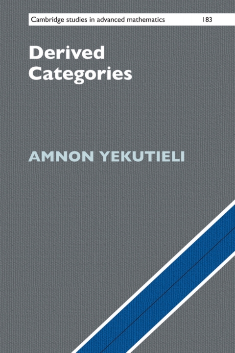 Cover image for book Derived Categories