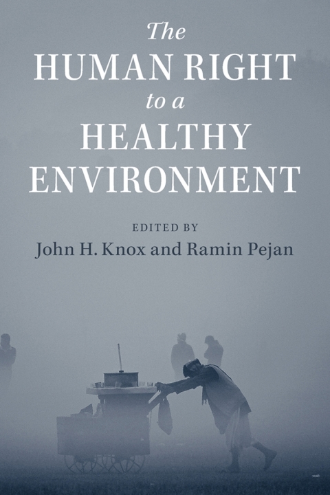 Cover image for book The Human Right to a Healthy Environment