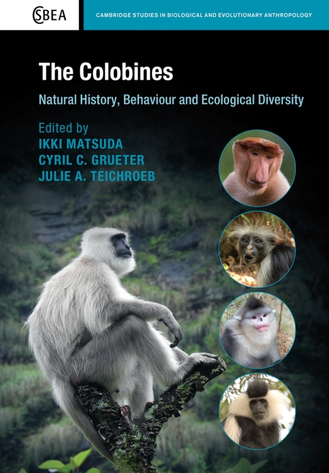 Cover image for book The Colobines