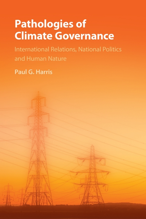 Pathologies of Climate Governance 