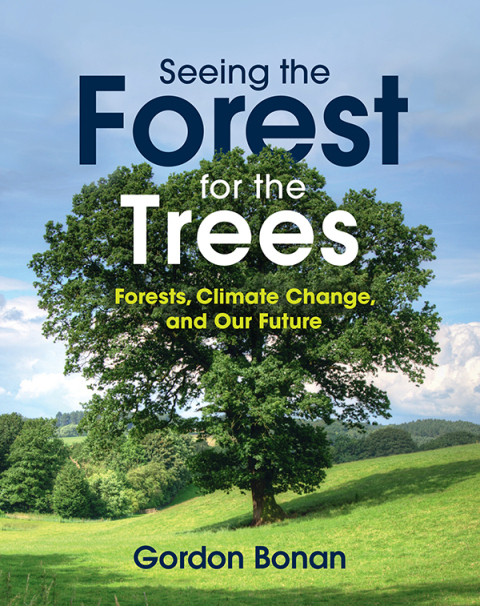 Cover image for book Seeing the Forest for the Trees