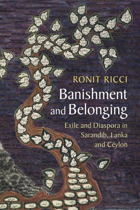 Cover image for book Banishment and Belonging
