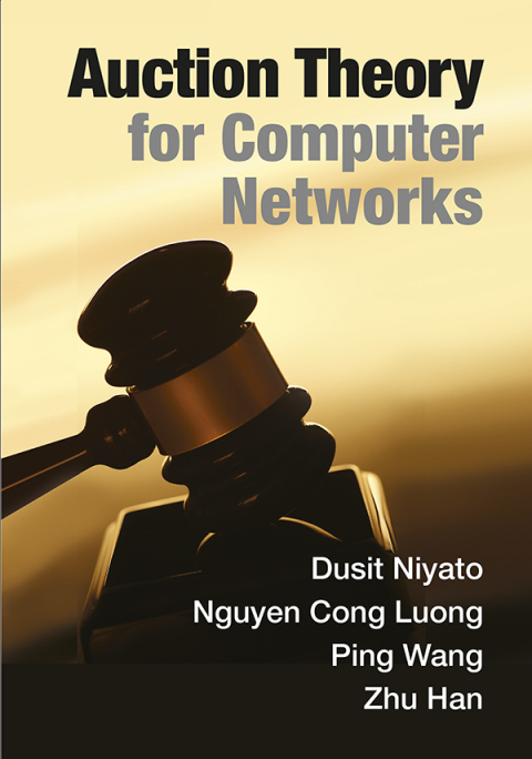 Auction Theory for Computer Networks 