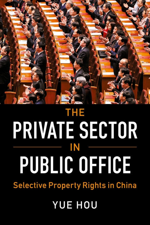 Cover image for book The Private Sector in Public Office