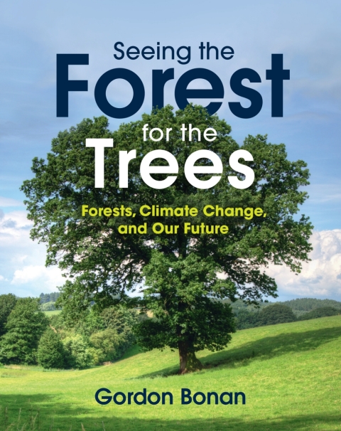 Cover image for book Seeing the Forest for the Trees