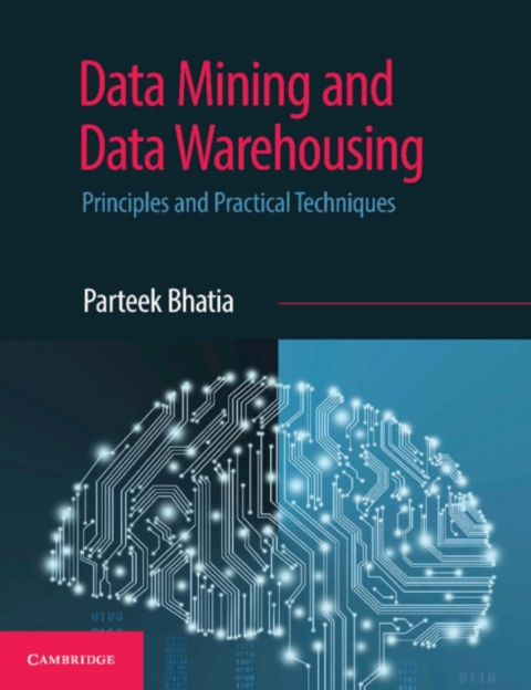 Cover image for book Data Mining and Data Warehousing