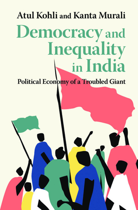 Cover image for book Democracy and Inequality in India