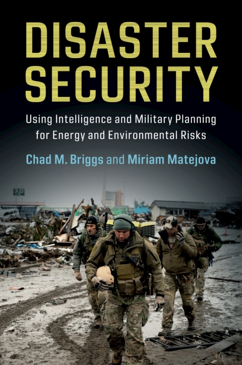 Cover image for book Disaster Security