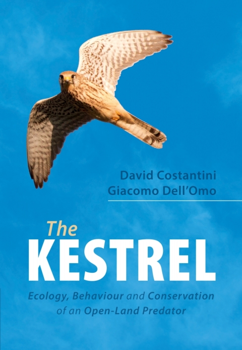 Cover image for book The Kestrel