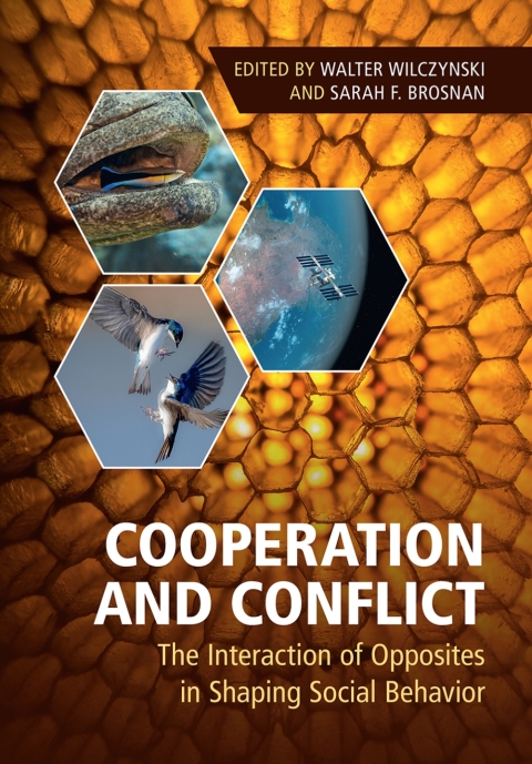Cover image for book Cooperation and Conflict