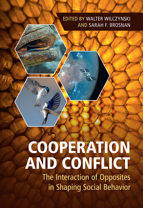 Cover image for book Cooperation and Conflict