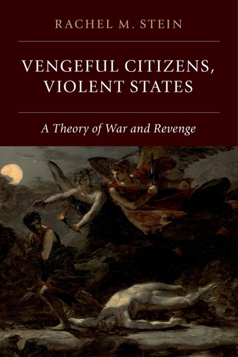 Cover image for book Vengeful Citizens, Violent States