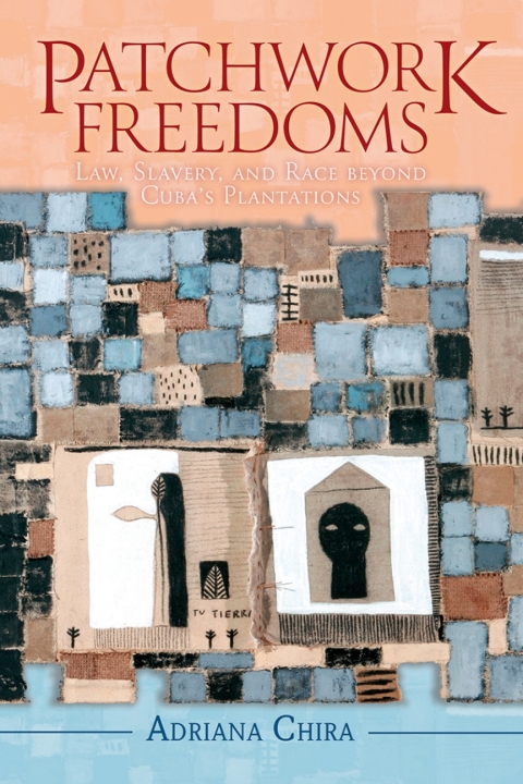 Cover image for book Patchwork Freedoms