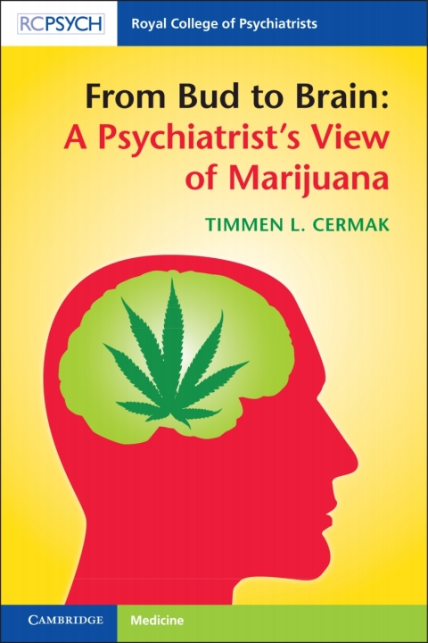 Cover image for book From Bud to Brain: A Psychiatrist's View of Marijuana