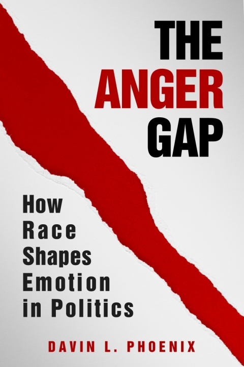 Cover image for book The Anger Gap