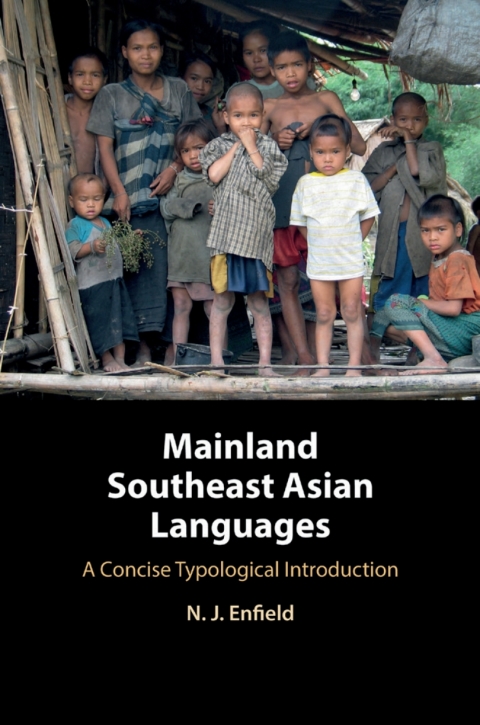 Cover image for book Mainland Southeast Asian Languages