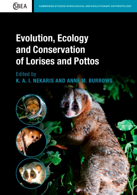 Evolution, Ecology and Conservation of Lorises and Pottos 